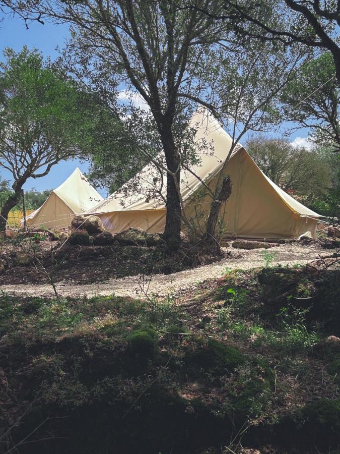 Pasare Glamping_Anglonaruralexperience Hotel Perfugas Exterior photo